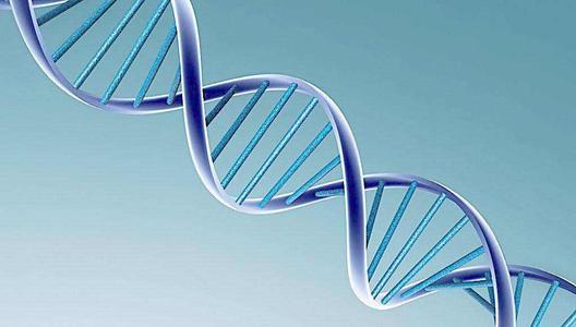 生物三字 生物工程,生物技術,生物科學這些專業有什么區別