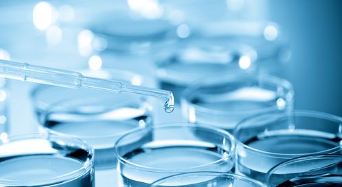 細胞培養干貨總結 生物科技領域的關鍵技術與實踐要點